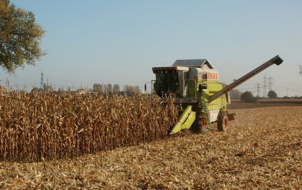 Agrônomos são lembrados como essenciais para a saúde da população