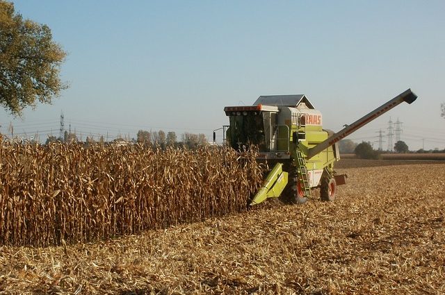 Agrônomos são lembrados como essenciais para a saúde da população